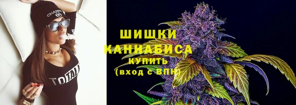 мет Пестово
