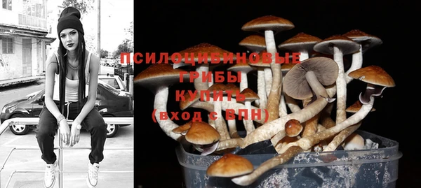 прущий лед Арсеньев