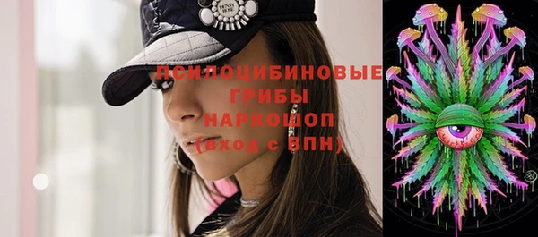 прущий лед Арсеньев