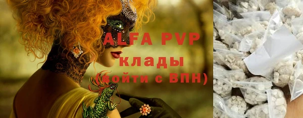 гашик Аркадак